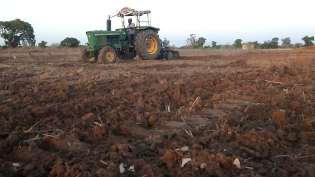 Ameublement du sol de plus d&rsquo;1hectare pour recevoir les semences de pommes de terre à Bonkore
