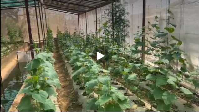 Capture d’écran 2026-03-24 090232