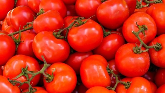 La-valeur-nutritive-des-tomates-1200×630